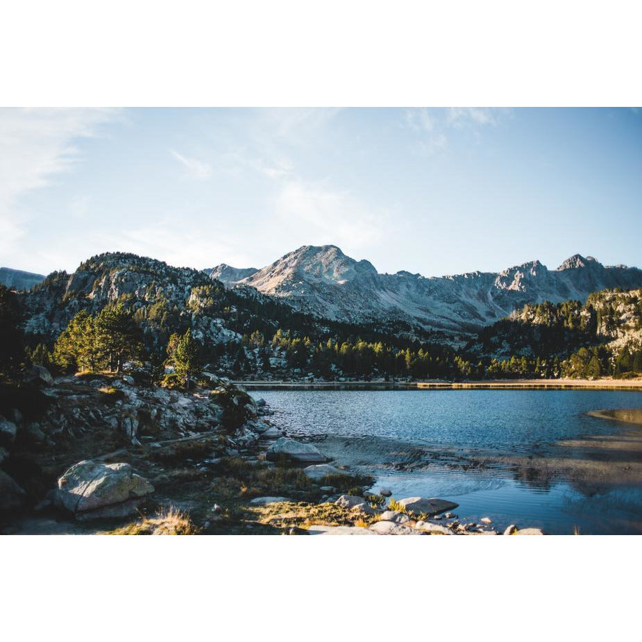 eeee (2665081798741)